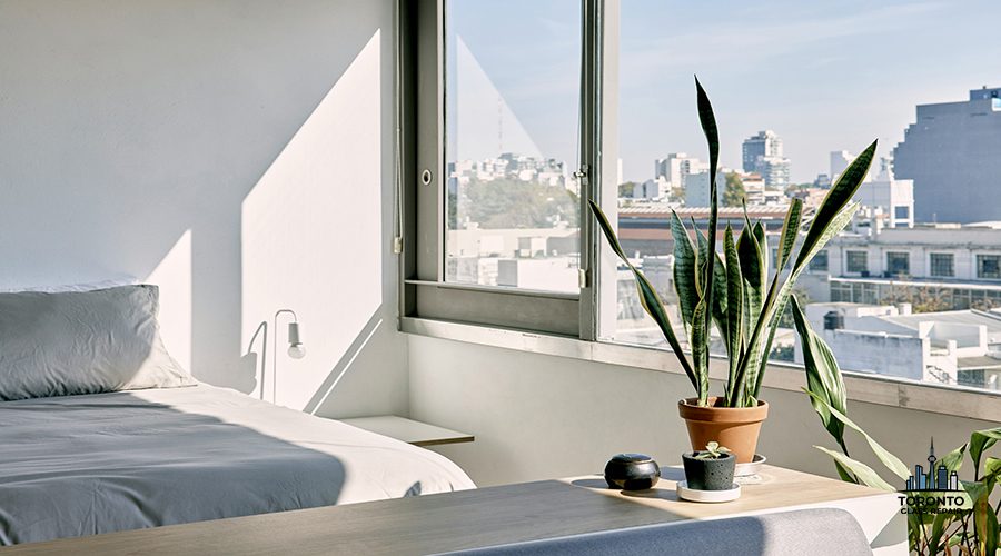 window repair and replacement near me